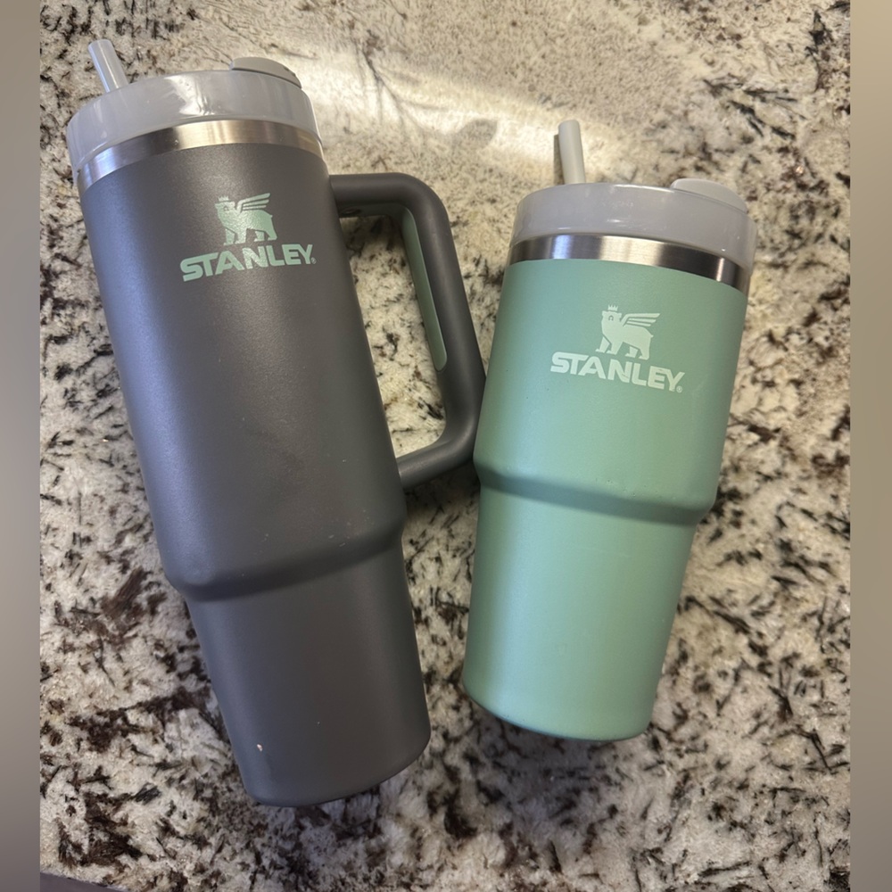 Stanley Matte Gray and Mint Green Tumbler set